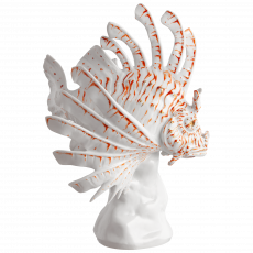 LIMITED EDITION 2021 RED LIONFISH